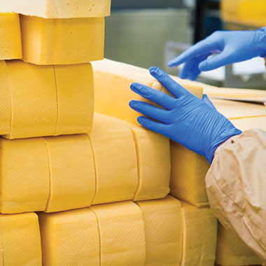 Un muncitor stivuieşte blocuri de brânză într-o fabrică de lactate. În industria produselor lactate, analizoarele TOC pot ajuta la monitorizarea deşeurilor organice din efluent şi la reducerea pierderilor de produs.